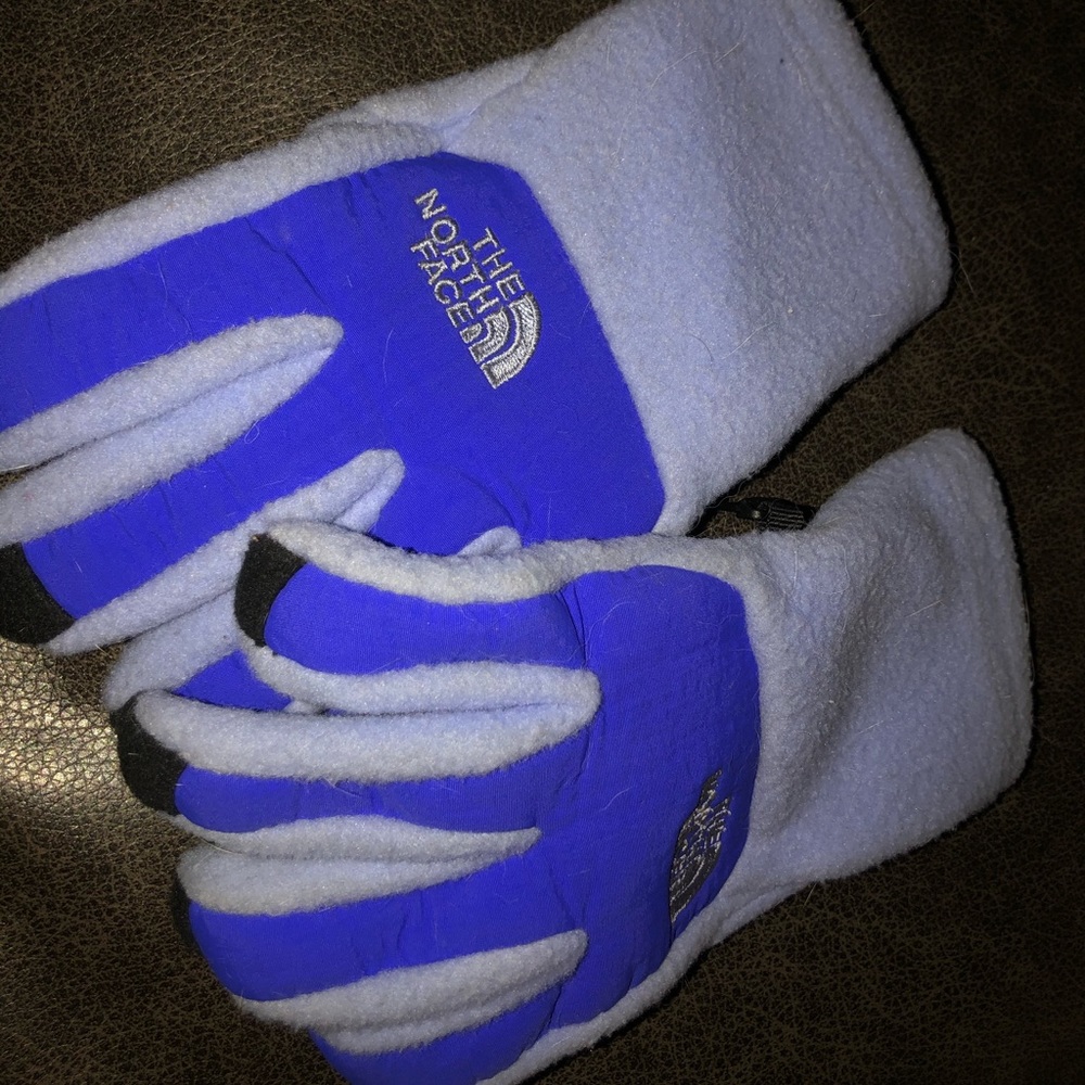 North face gloves